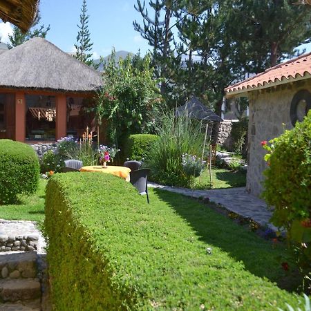 Miskiwasi Bed & Breakfast Yanque Ngoại thất bức ảnh