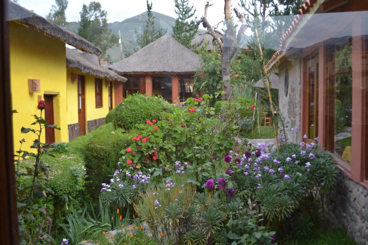 Miskiwasi Bed & Breakfast Yanque Ngoại thất bức ảnh